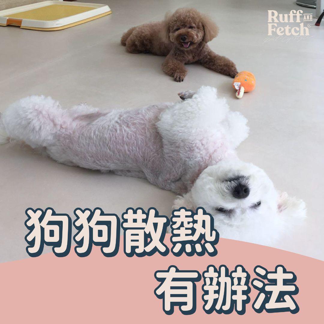 ❖狗狗中暑 散熱有辦法❖ - RUFF & FETCH