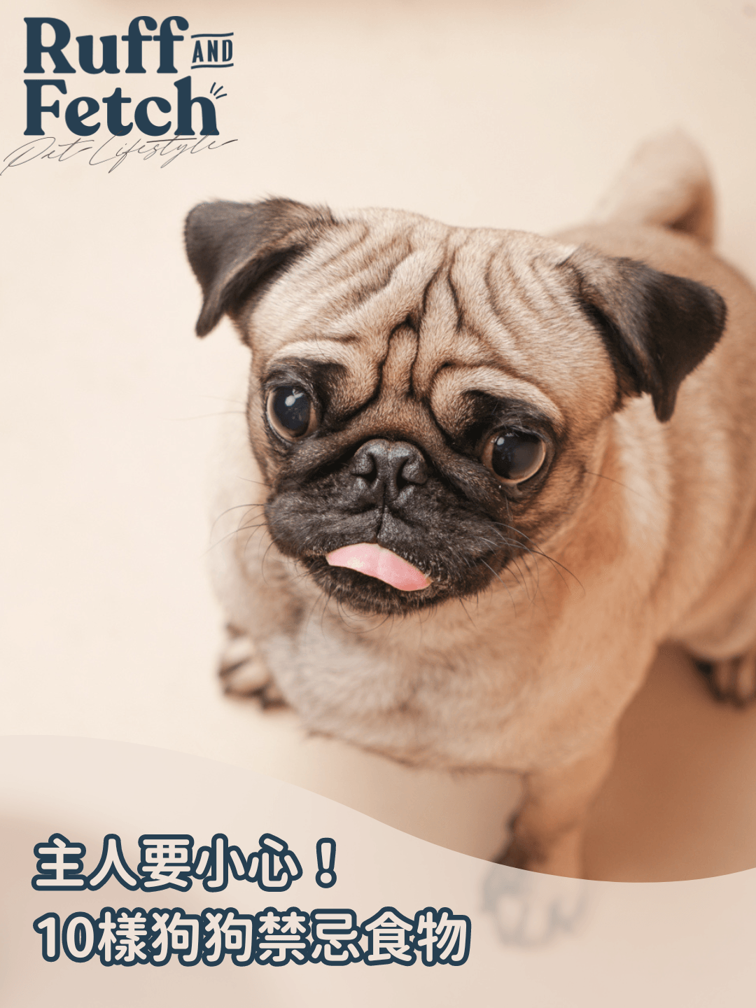 ❎主人要小心!10樣狗狗禁忌食物🍫 - RUFF & FETCH