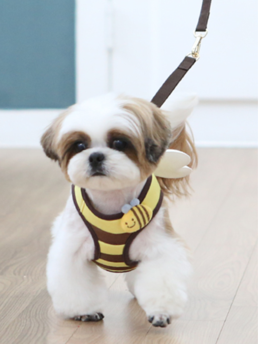 ITSDOG | 小蜜蜂背帶