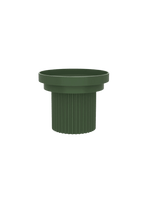 Purrre | 齒間派對 大食碗 - RUFF & FETCH