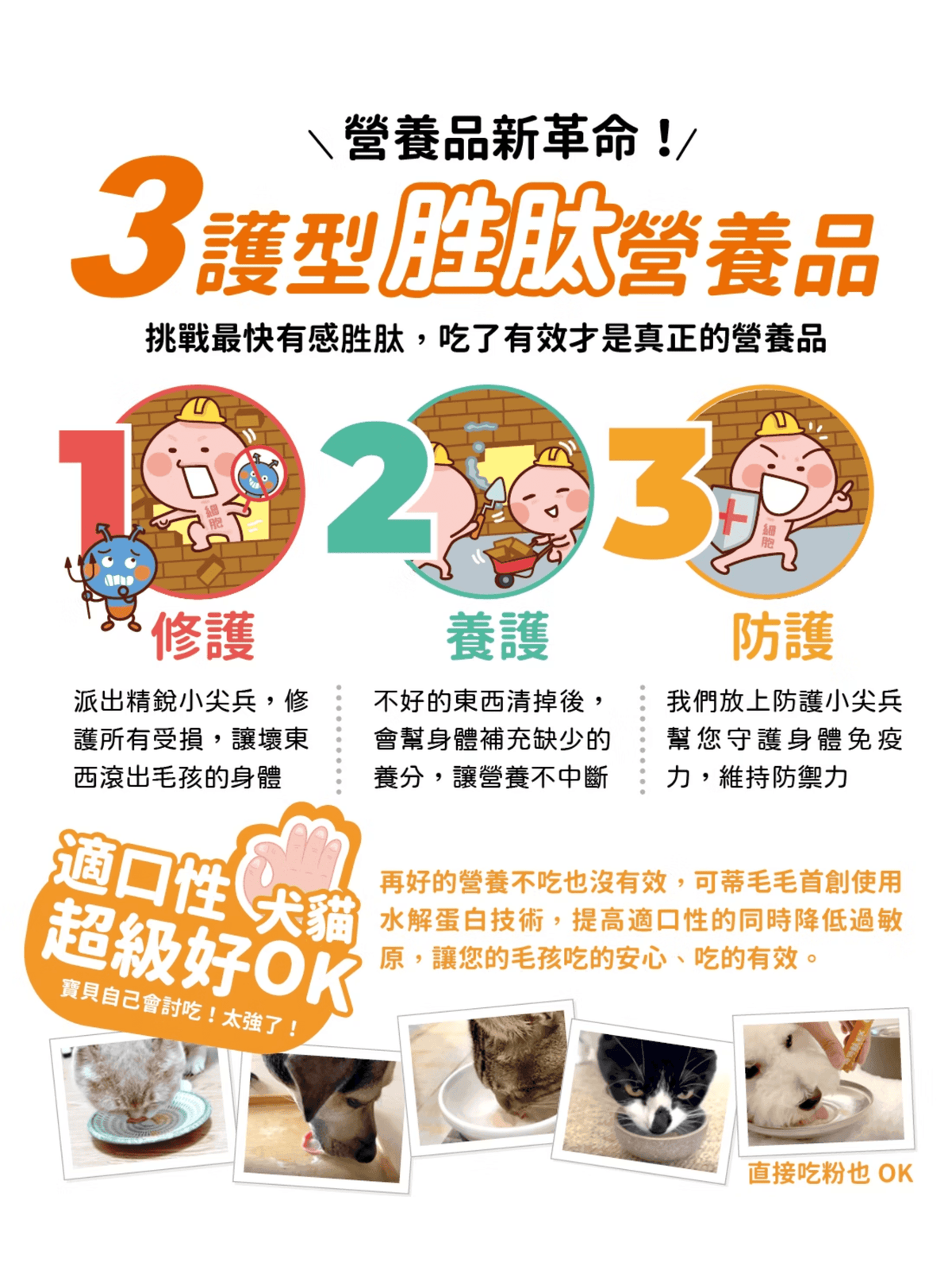 可蒂毛毛|泌尿心情好 貓貓適用 - RUFF & FETCH