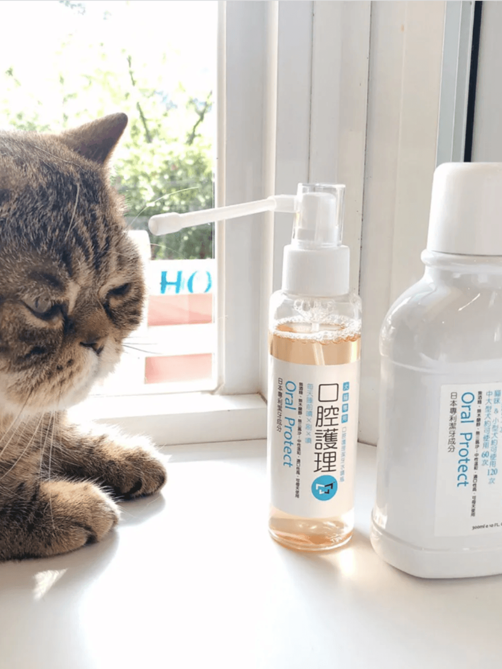 水魔素 | 台灣製 口腔護理潔牙水 300 ml - RUFF & FETCH