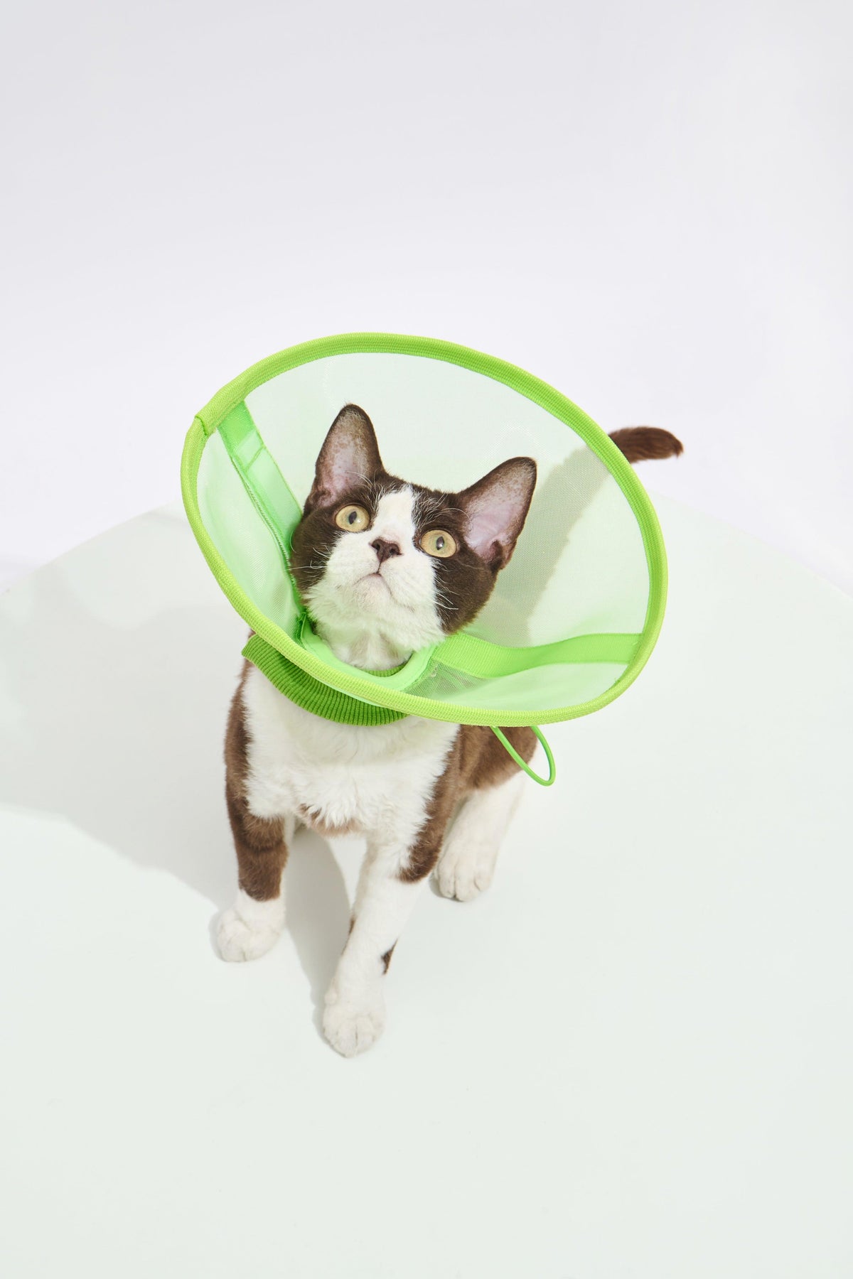 Purrre | 透氣網格頭套 - RUFF & FETCH