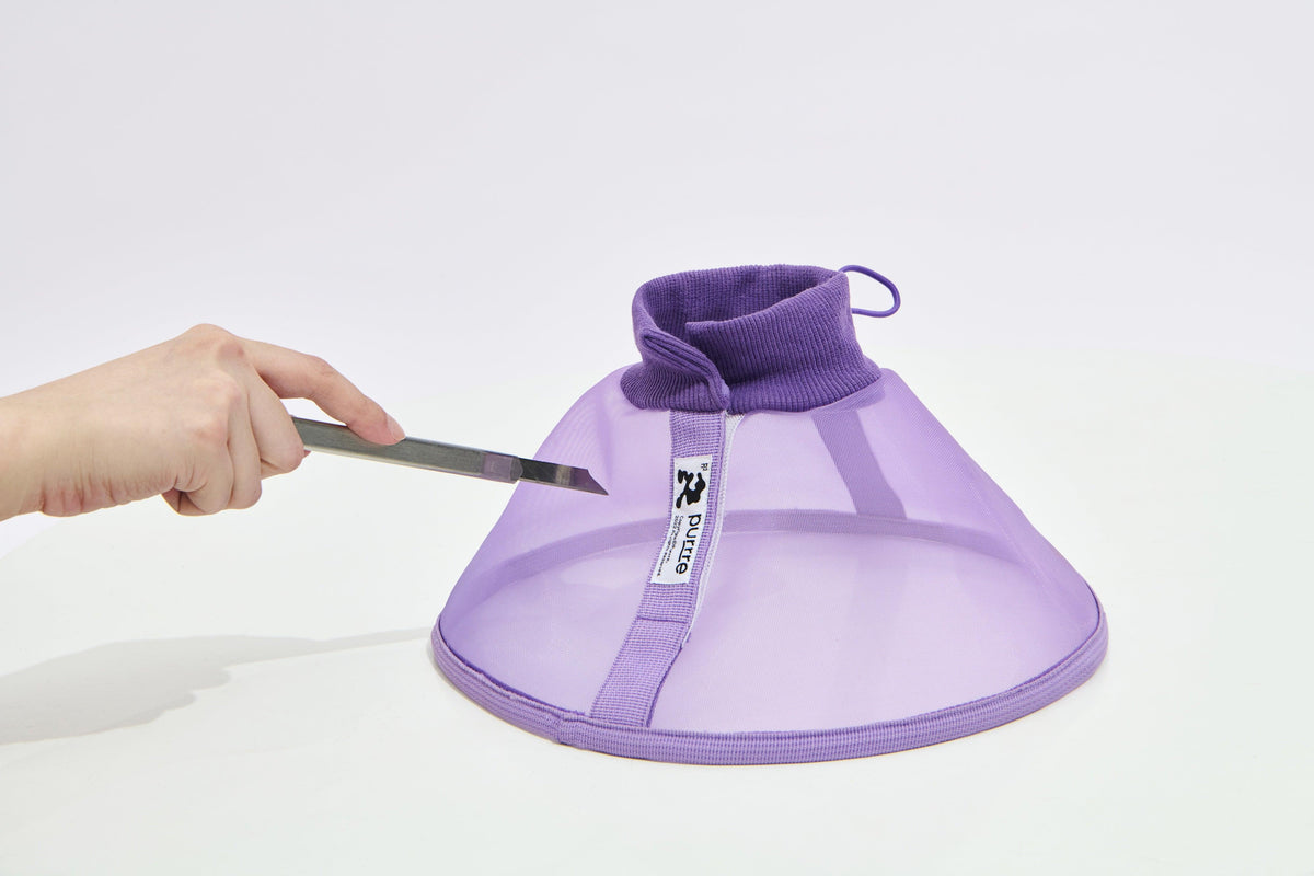 Purrre | 透氣網格頭套 - RUFF & FETCH