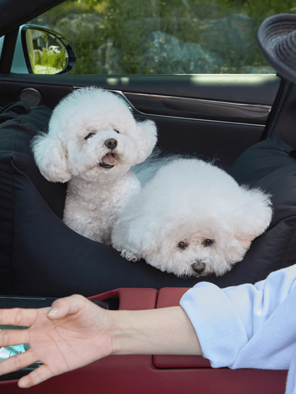 Barbichon | 優質寵物汽車座椅 - RUFF & FETCH