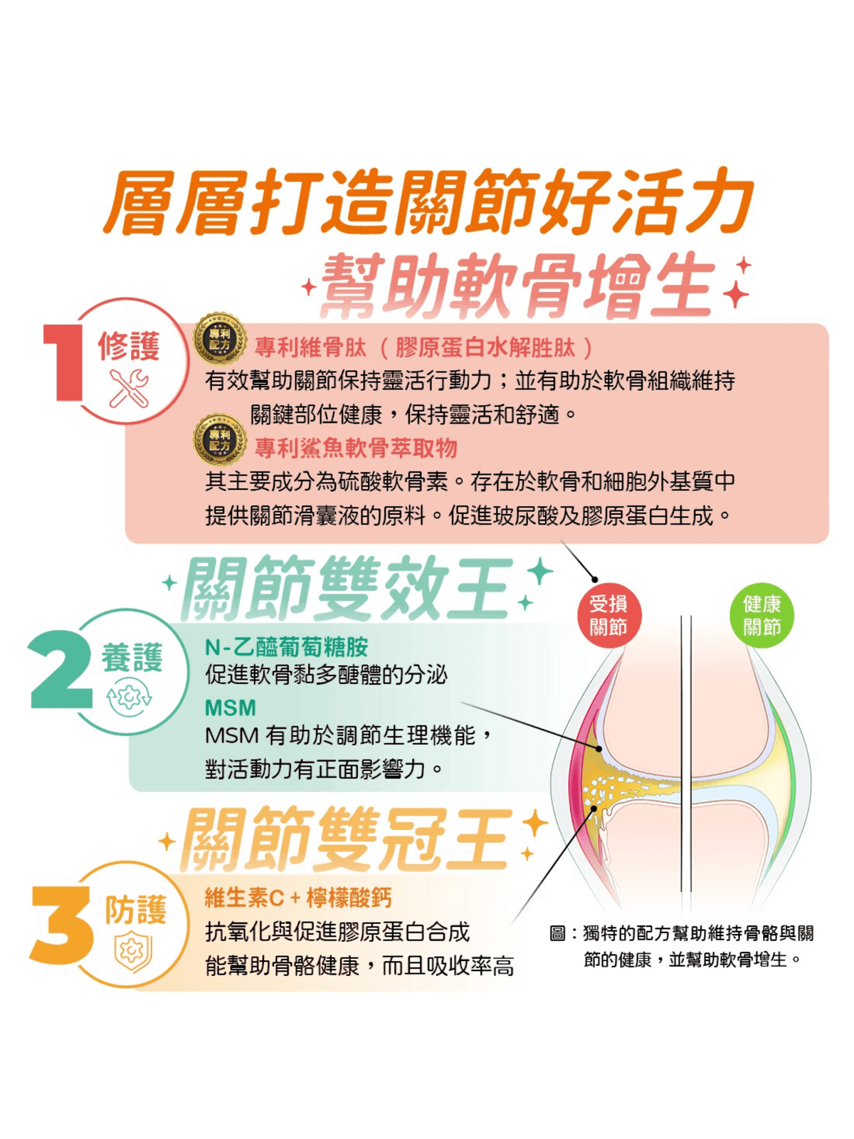 可蒂毛毛|維骨肽EX 加強版 狗狗適用 - RUFF & FETCH