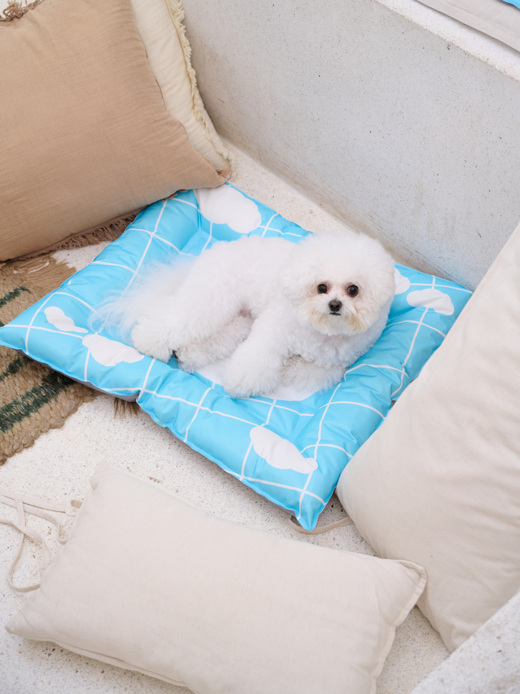 Purrre | 寵物涼感窩