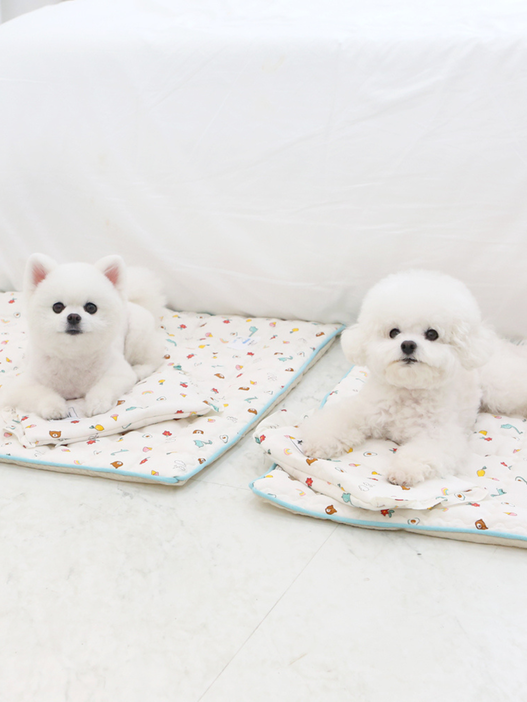 ITSDOG | 涼墊