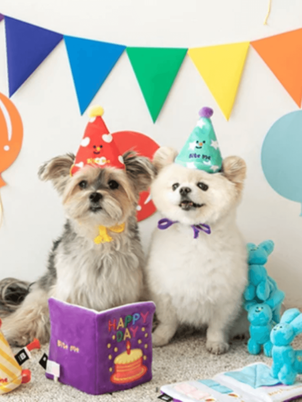Biteme | 生日卡玩具 - RUFF & FETCH