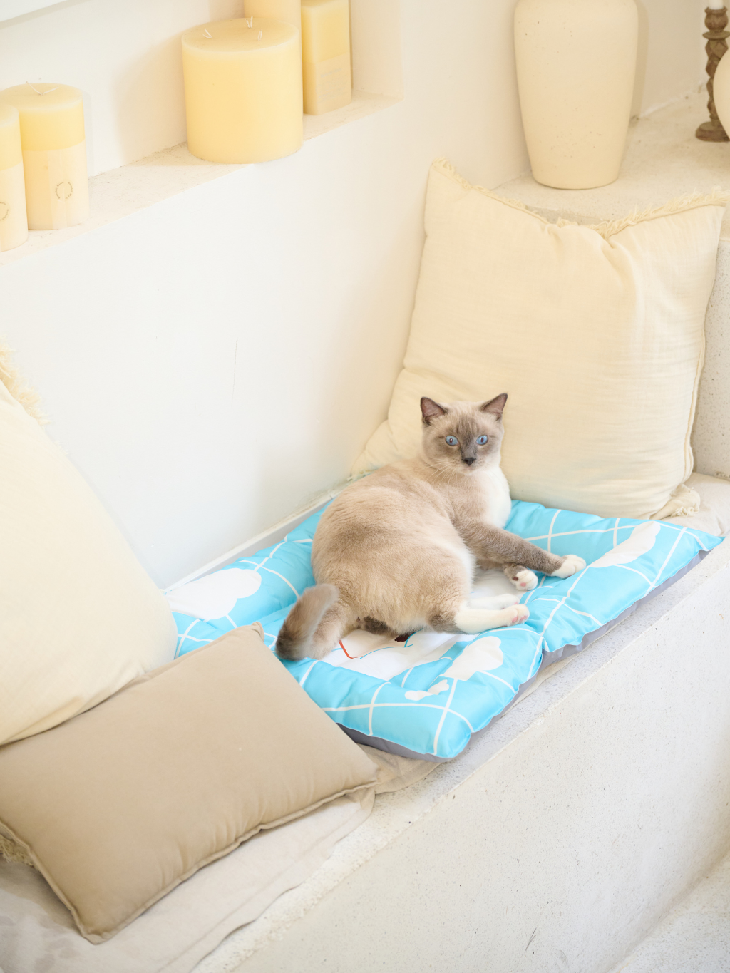 Purrre | 寵物涼感窩