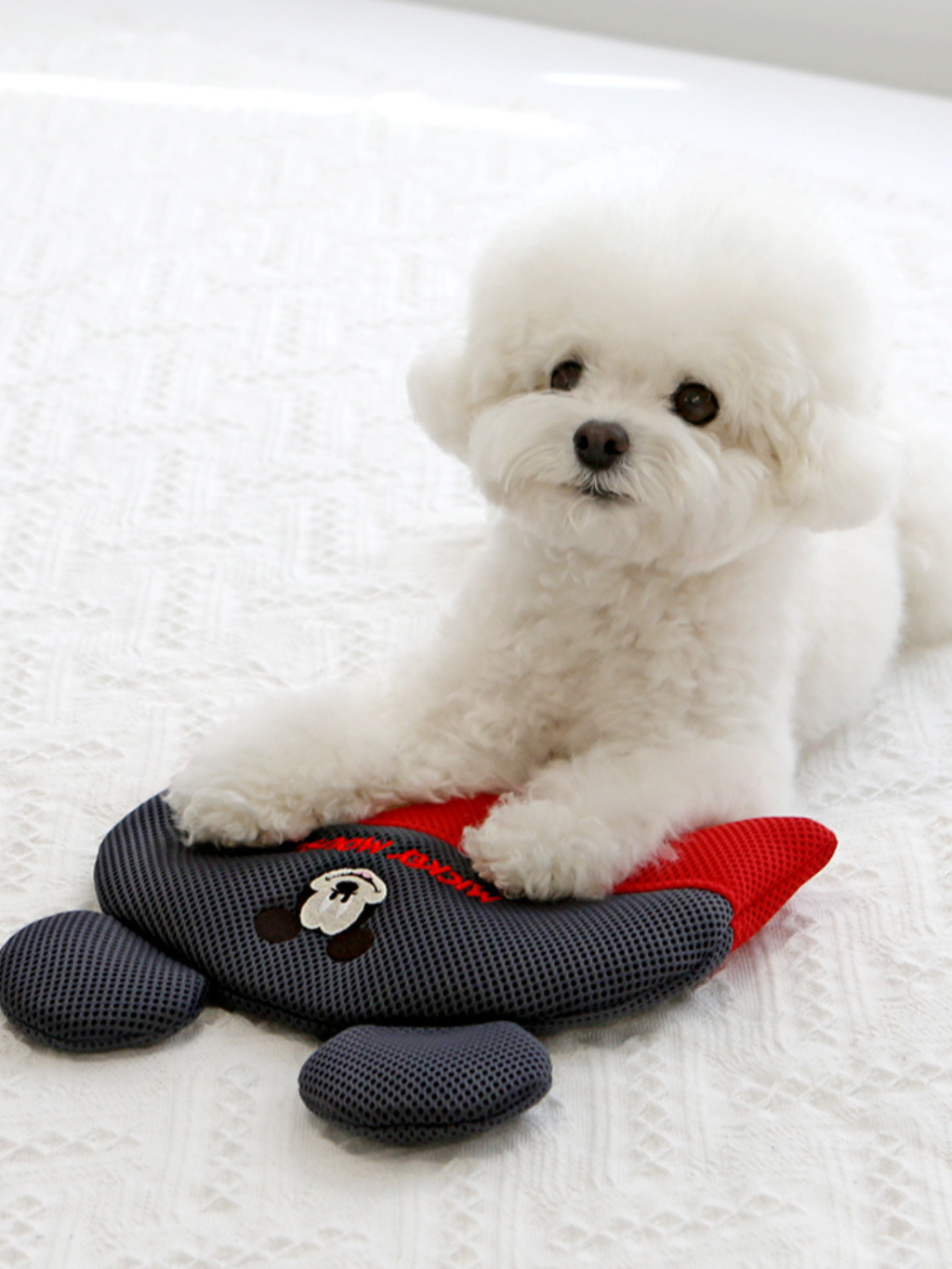 ITSDOG | 迪士尼系列冰枕