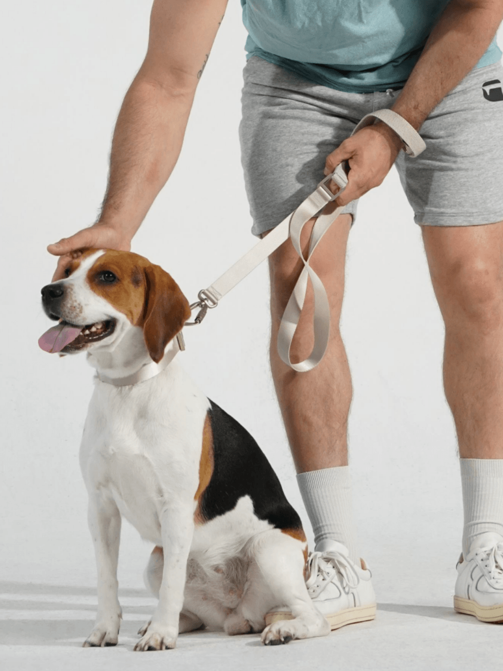 BuddyArmor|輕合金幼牽繩 1.5cm - RUFF & FETCH