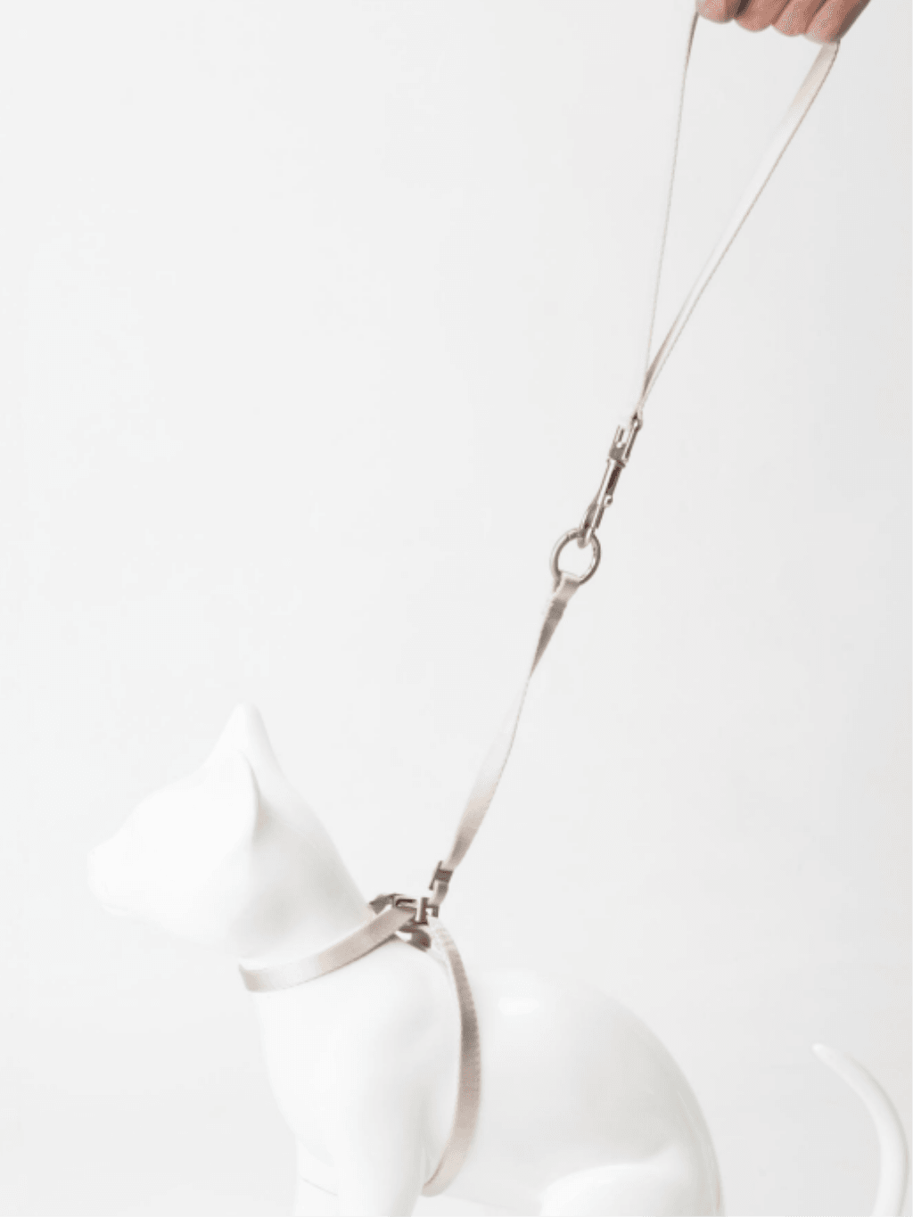 BuddyArmor|防衝脫訓練尼龍牽繩 - RUFF & FETCH