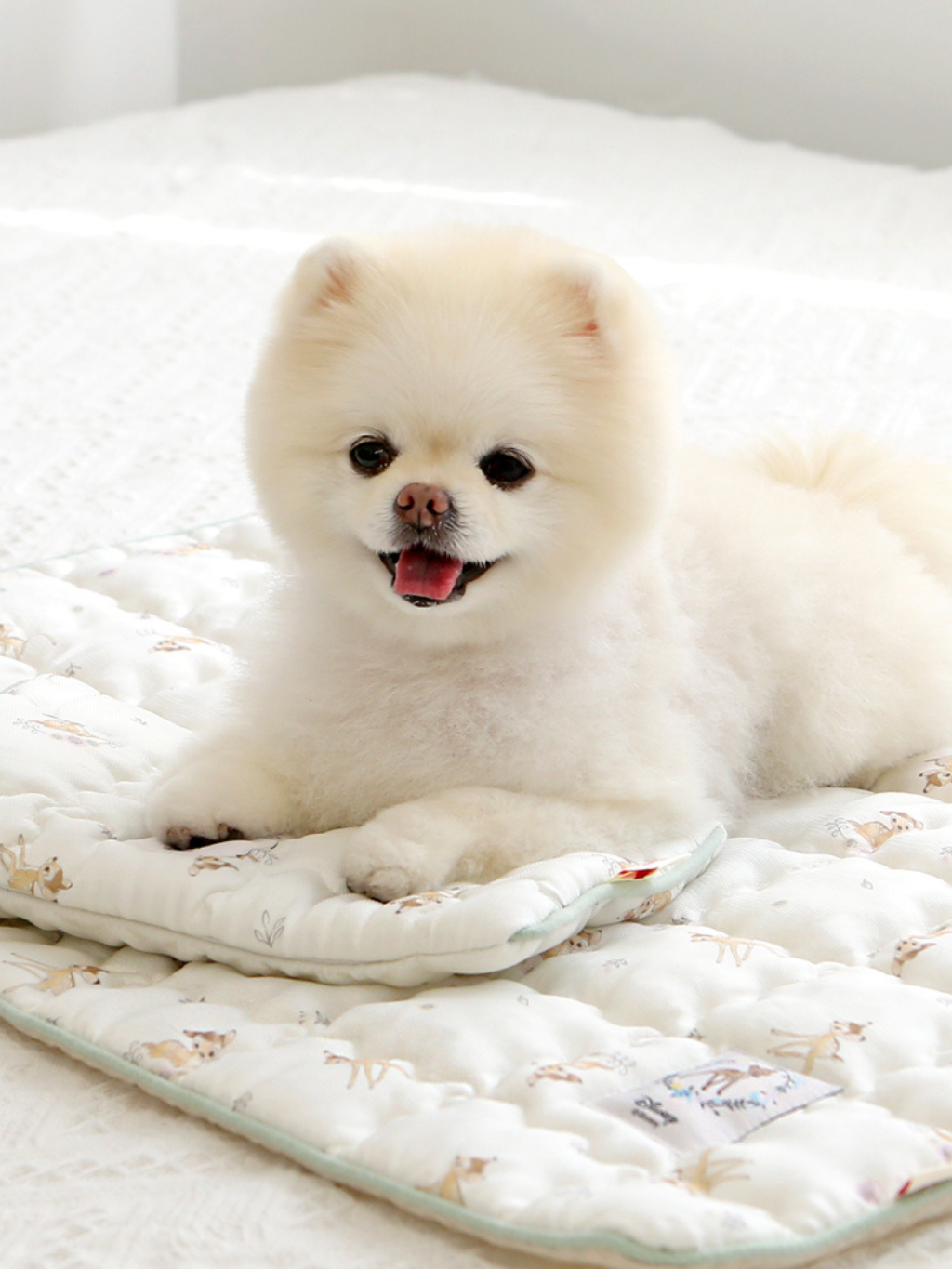 ITSDOG | 迪士尼系列凍墊