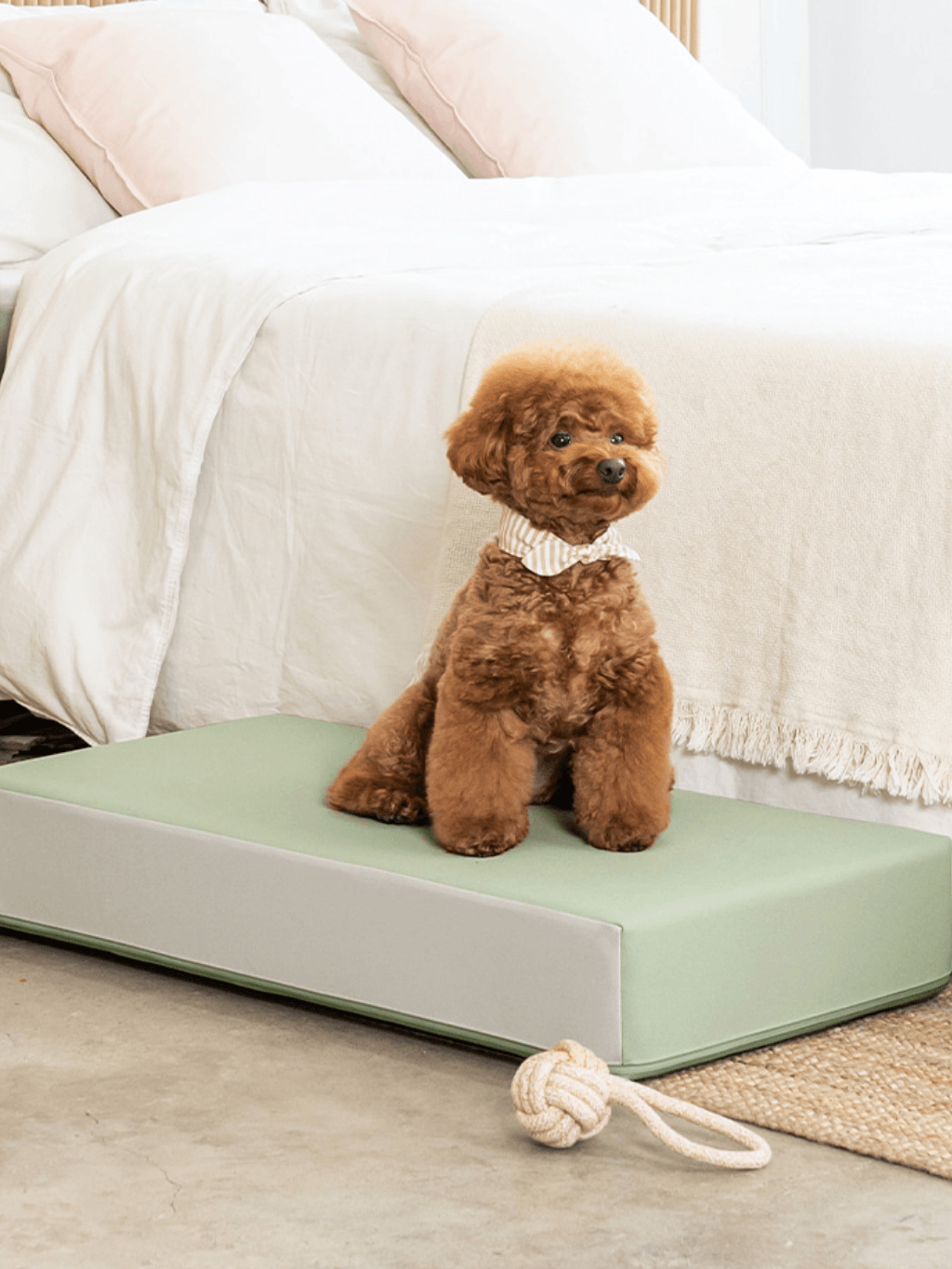 Pupping | 防滑底墊 - RUFF & FETCH