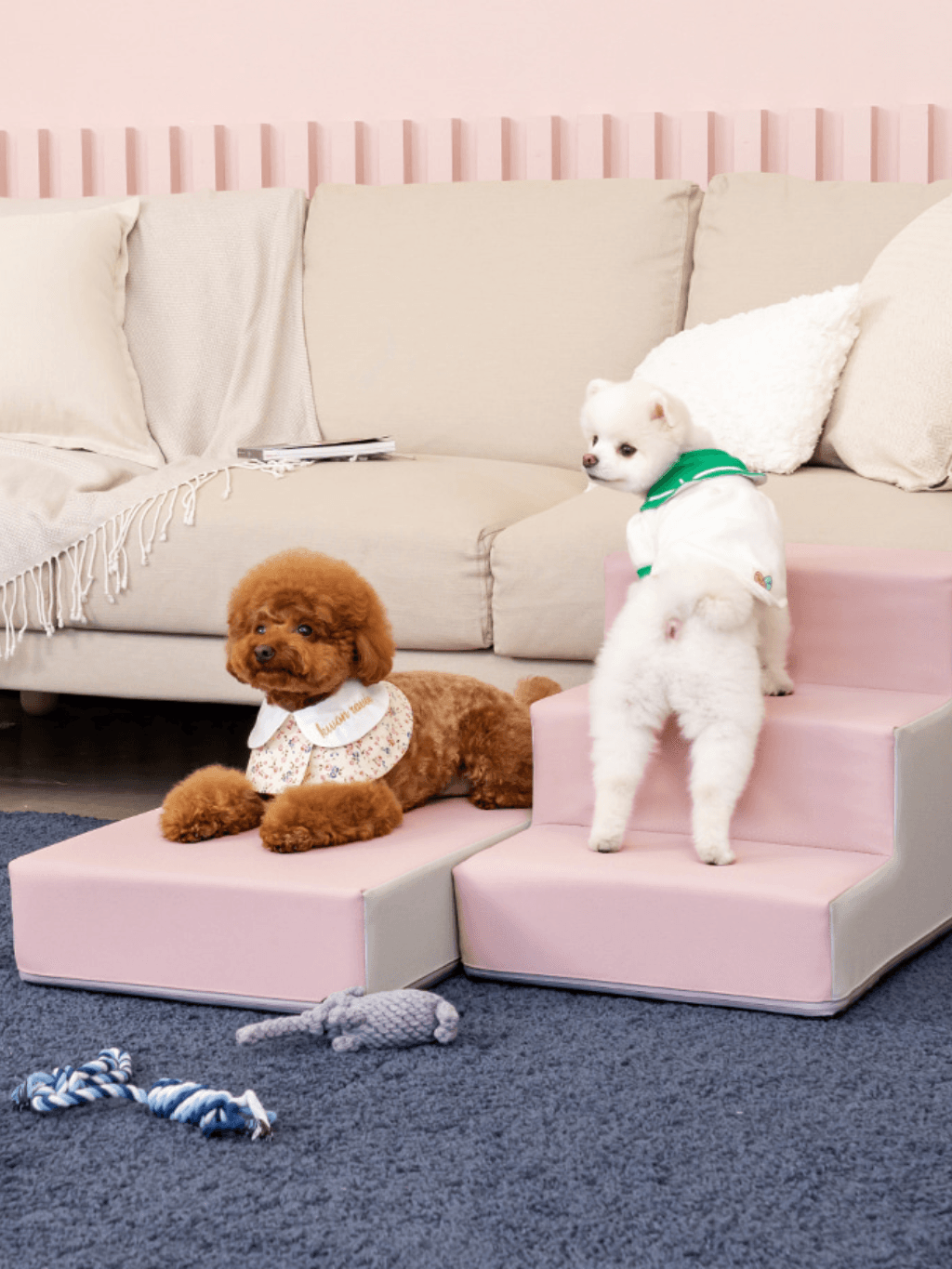 Pupping | 防滑底墊 - RUFF & FETCH