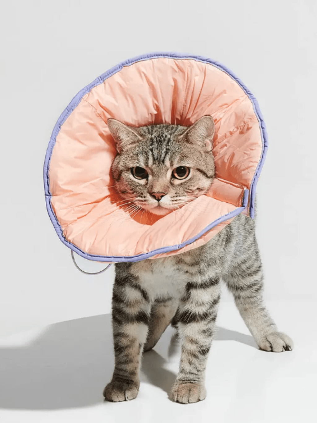 Purrre | 夾棉兩用頭套 - RUFF & FETCH