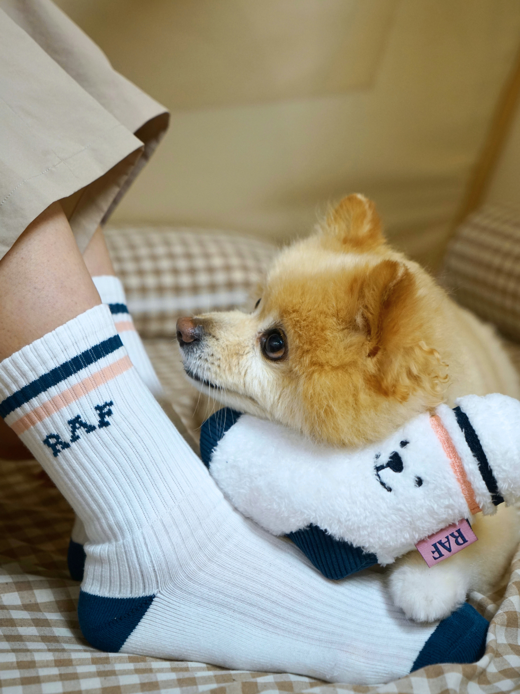 RAF City Explorer 城市探索隊寵物玩具系列 | 可愛襪仔發聲玩具