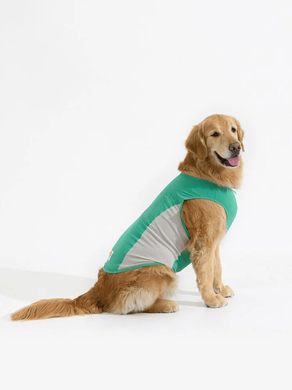 iCandor | Ocean 狗狗涼感背心 - RUFF & FETCH