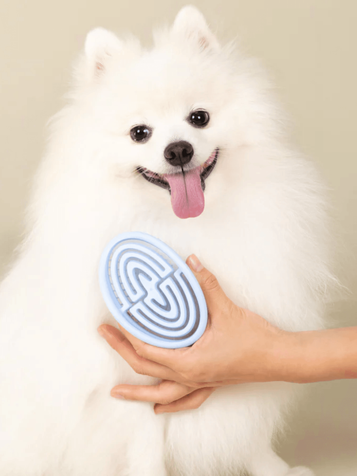 Plume|寵物日用毛梳 - RUFF & FETCH