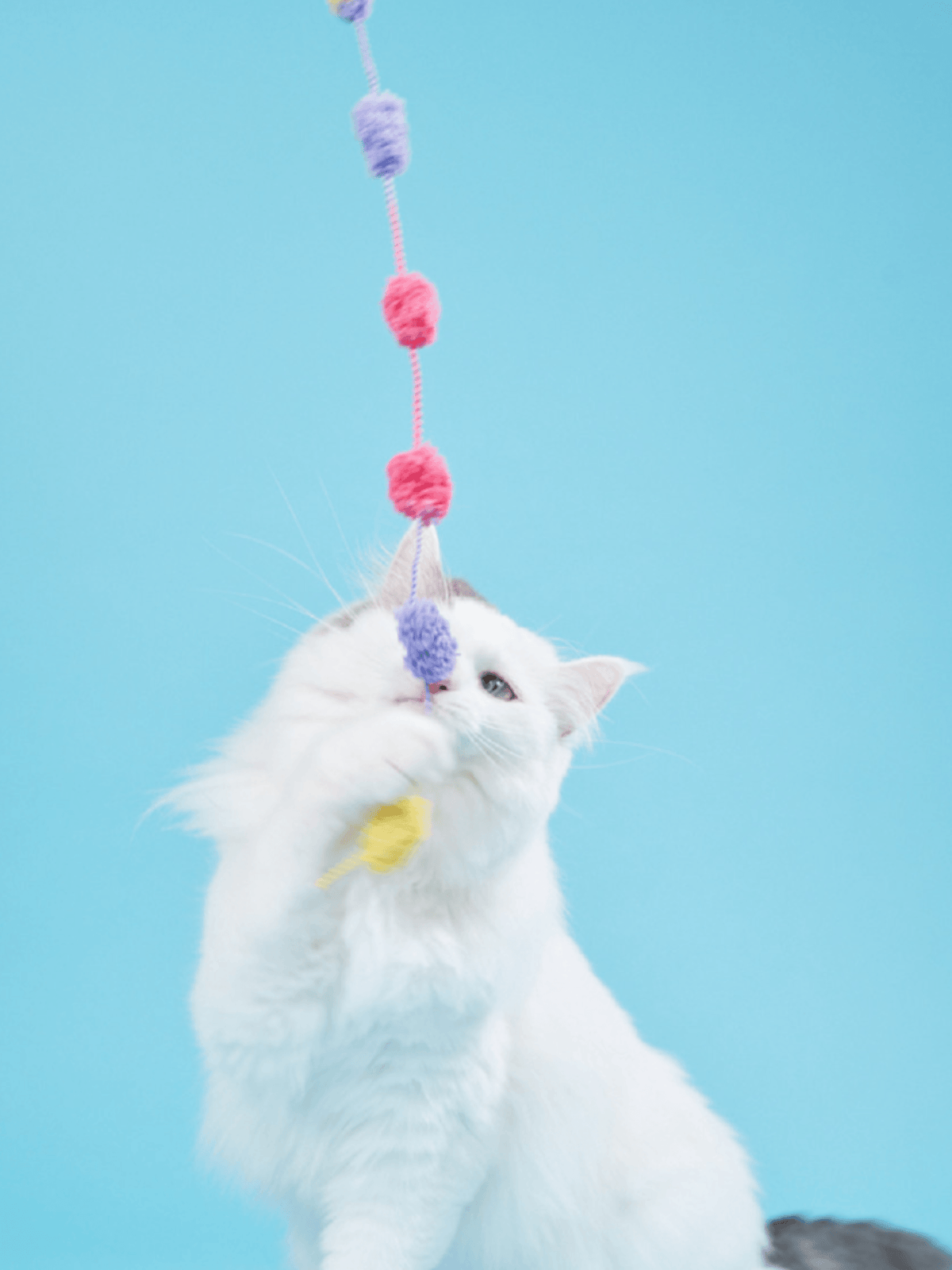 Zooahpet|彩虹芝士腸逗貓棒 - RUFF & FETCH