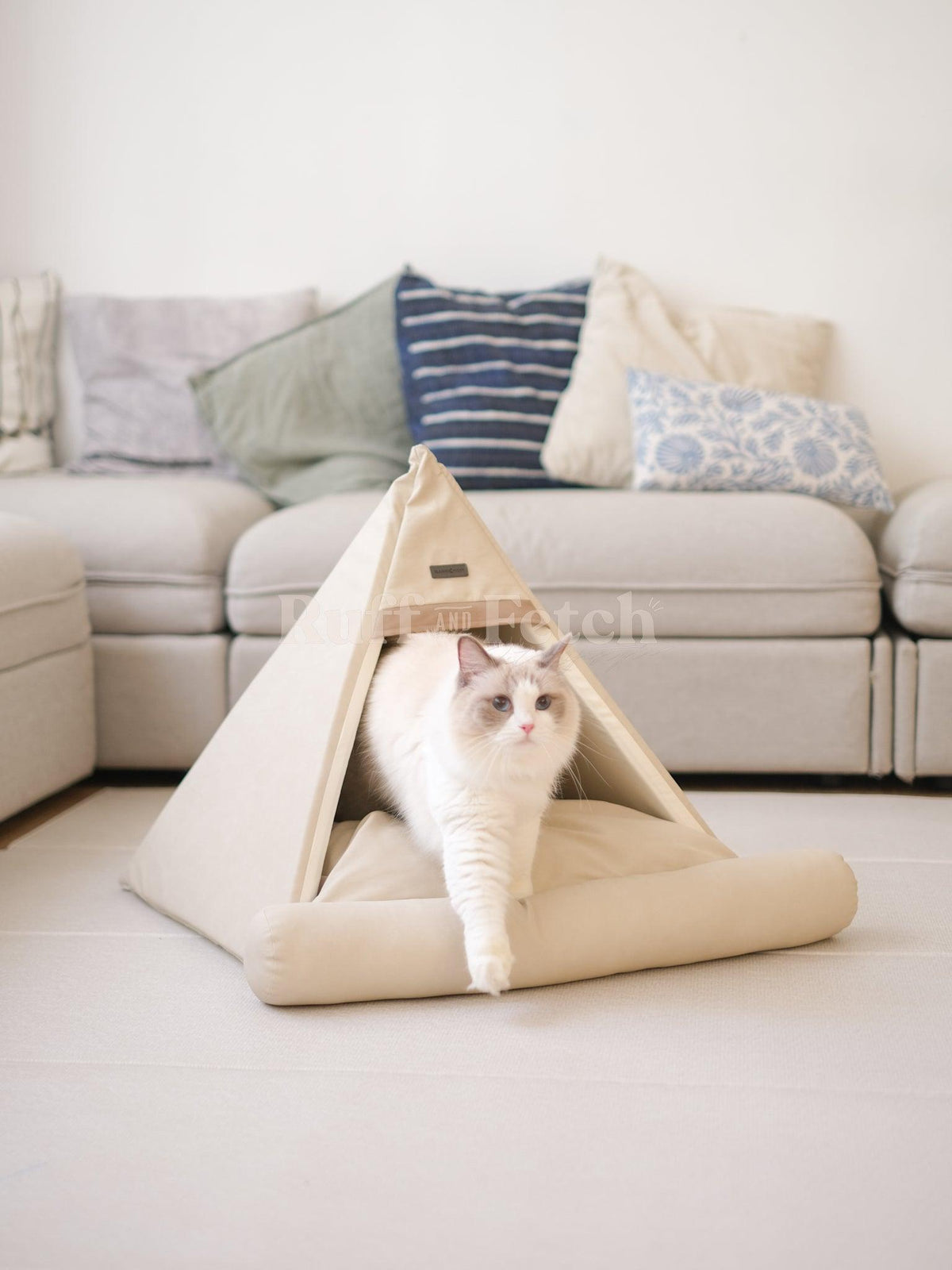 Barbichon | 寵物帳篷連床 - RUFF & FETCH