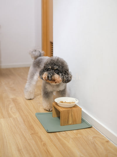 Bridge Dog | 小型寵物餵食碗 橡木托盤 9cm