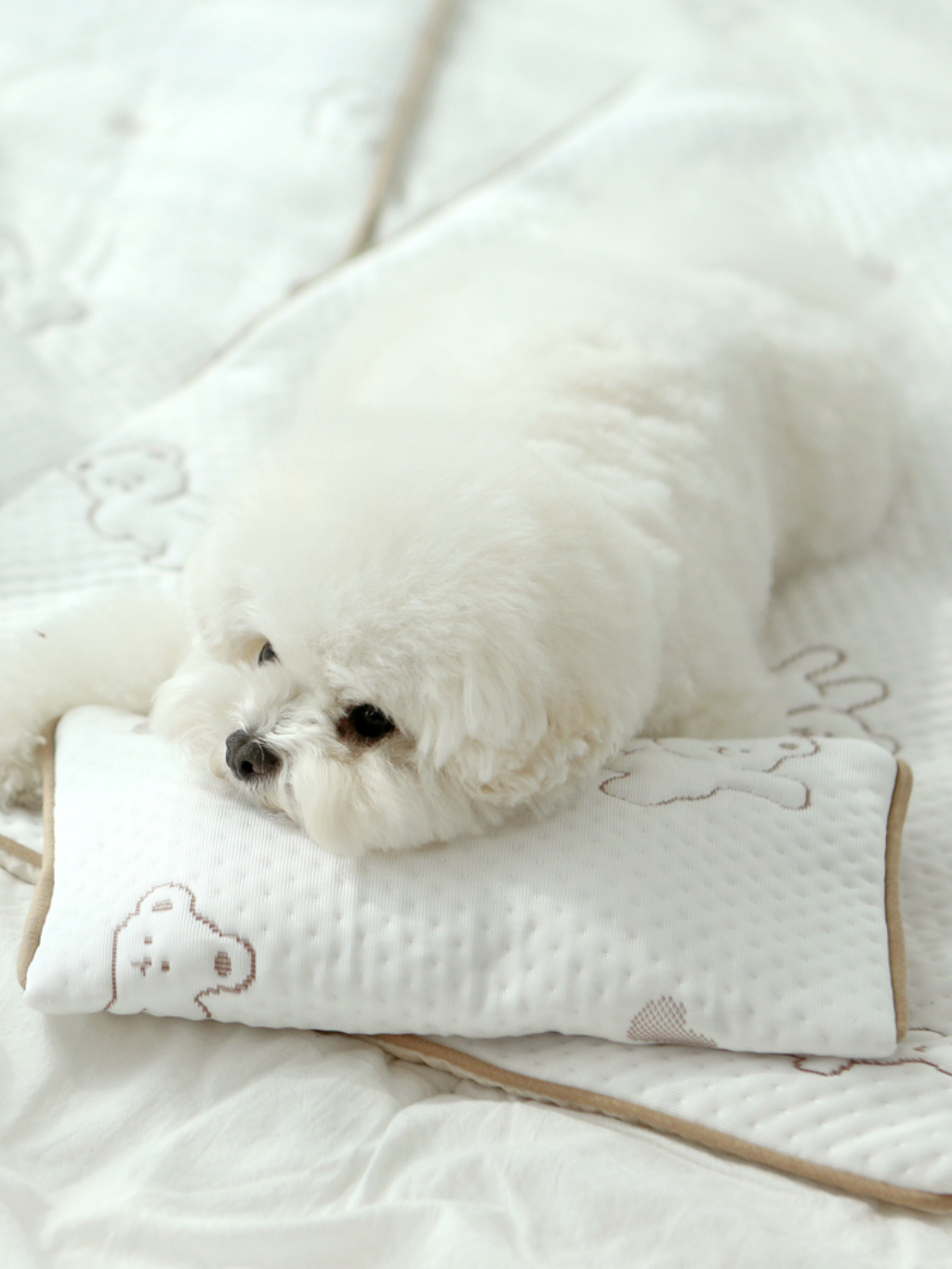 ITSDOG | 超涼感小枕頭