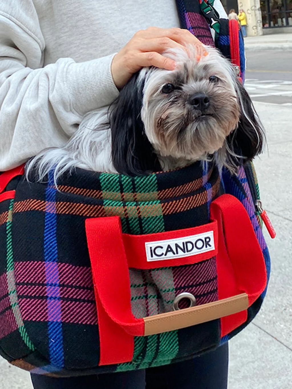 iCandor | Lanificio x Peek-a-boo 寵物斜背包