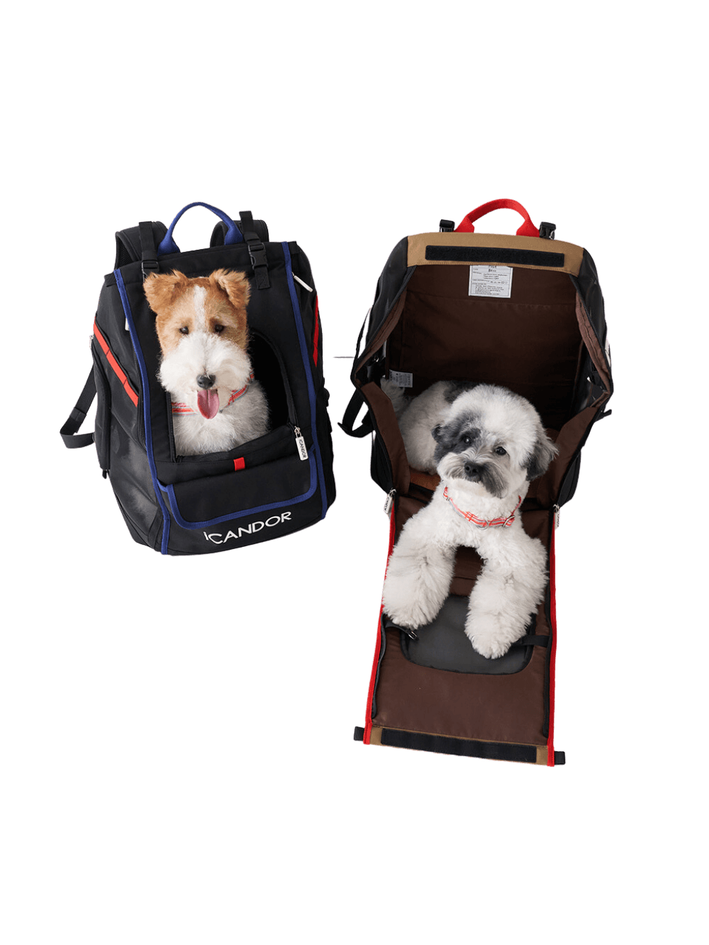 iCandor|透氣堅挺寵物背包 Jige Bag ( 預售4月底 ) - RUFF & FETCH