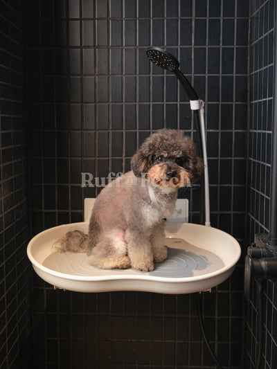 MORE+ | 寵物家居淋浴套裝 (浴盤、防滑墊及風筒固定支架)