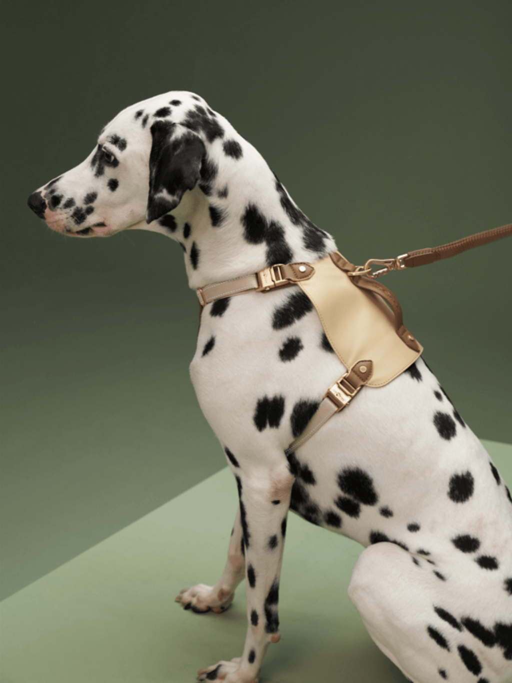 VOOCOO | 「馬鞍」寵物牽引繩胸背套裝 - RUFF & FETCH