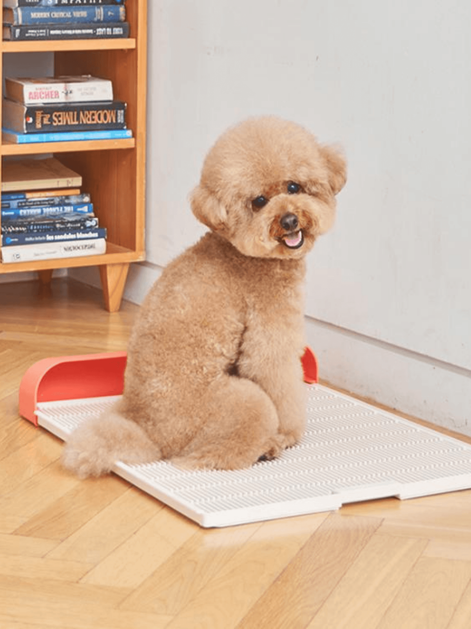 Monomog | Swingdog 環保廁所套裝 - RUFF & FETCH