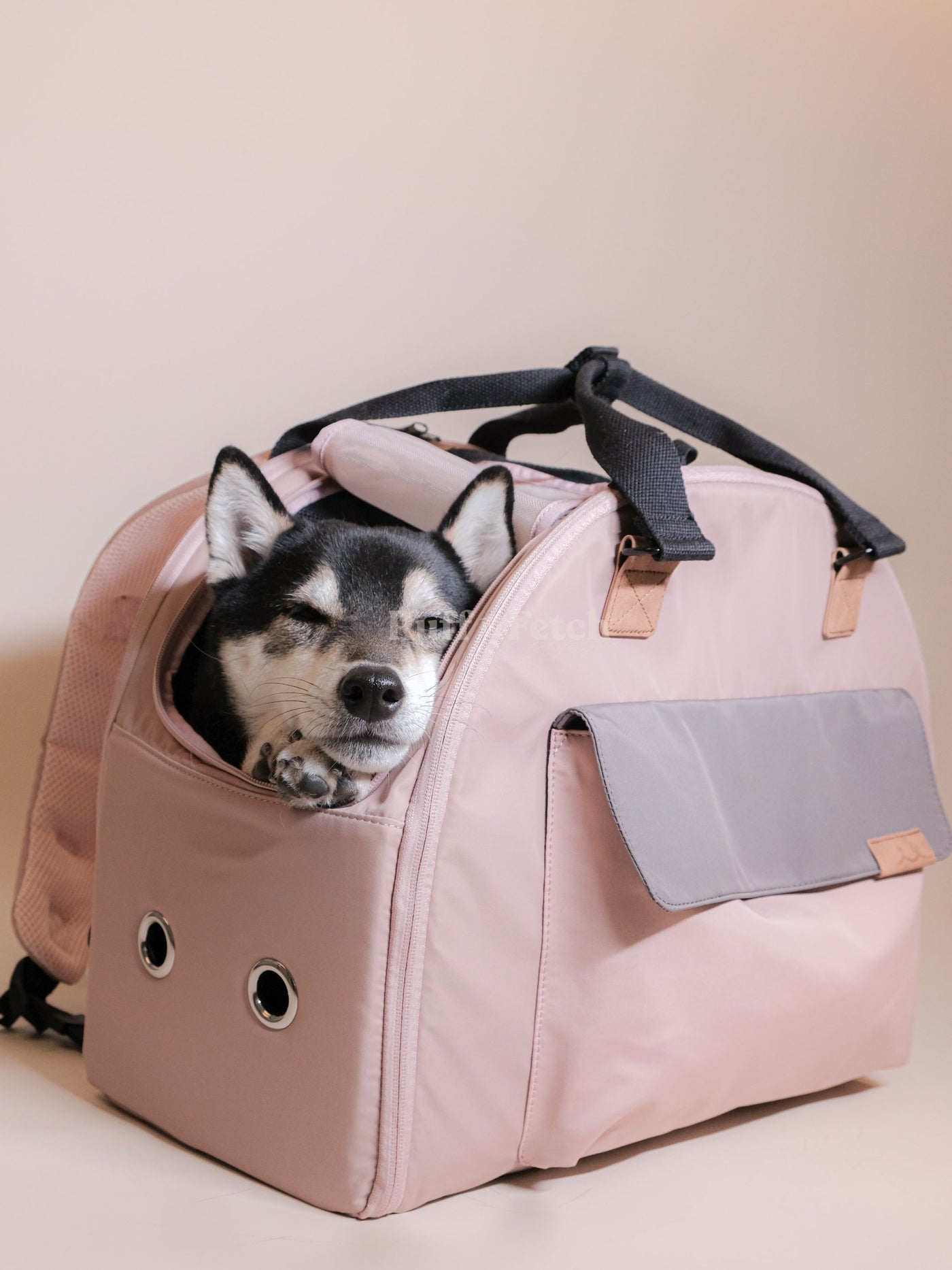 Petsoban | 韓國熱賣多用途立體寵物背包