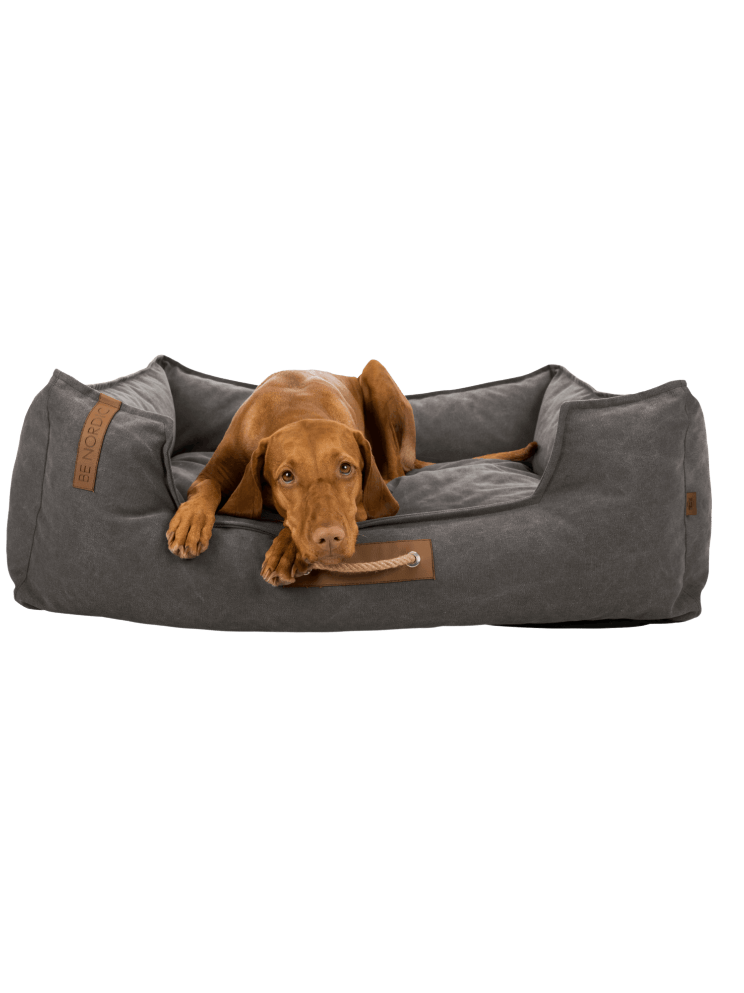 Trixie | Föhr 加厚寵物窩床 保育海洋系列 Be Nordic - RUFF & FETCH