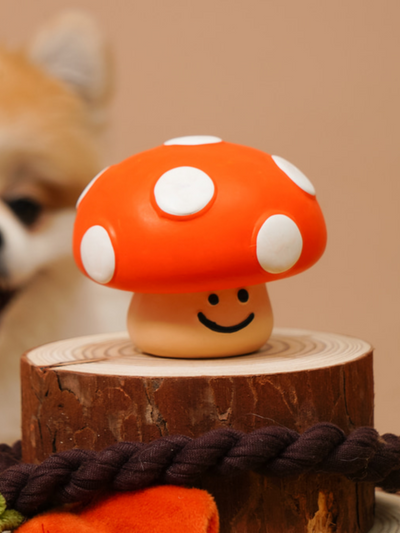 Bacon Box | 橙色蘑菇乳膠玩具