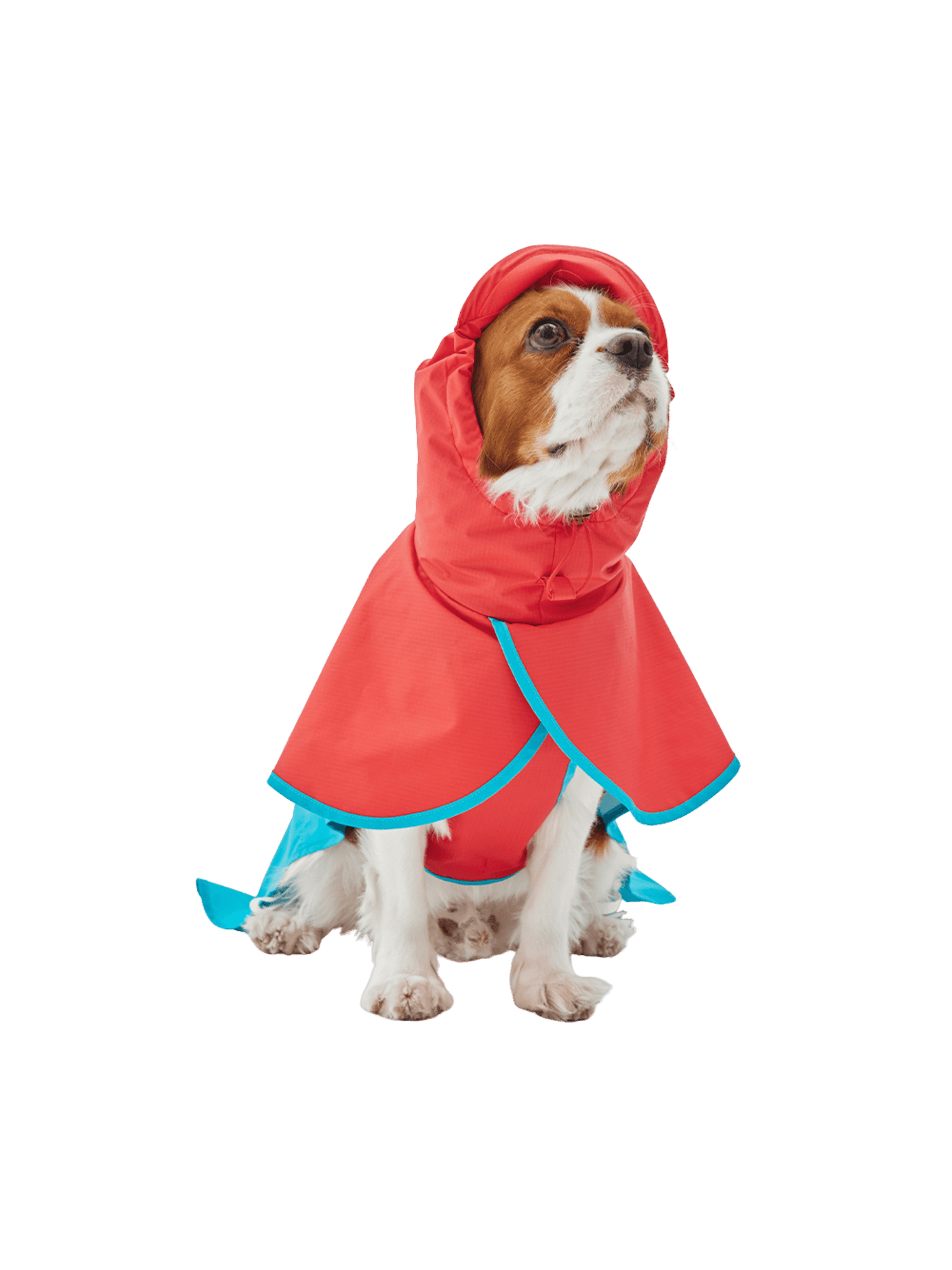 iCandor | Earth 冒險狗狗雨衣 - RUFF & FETCH