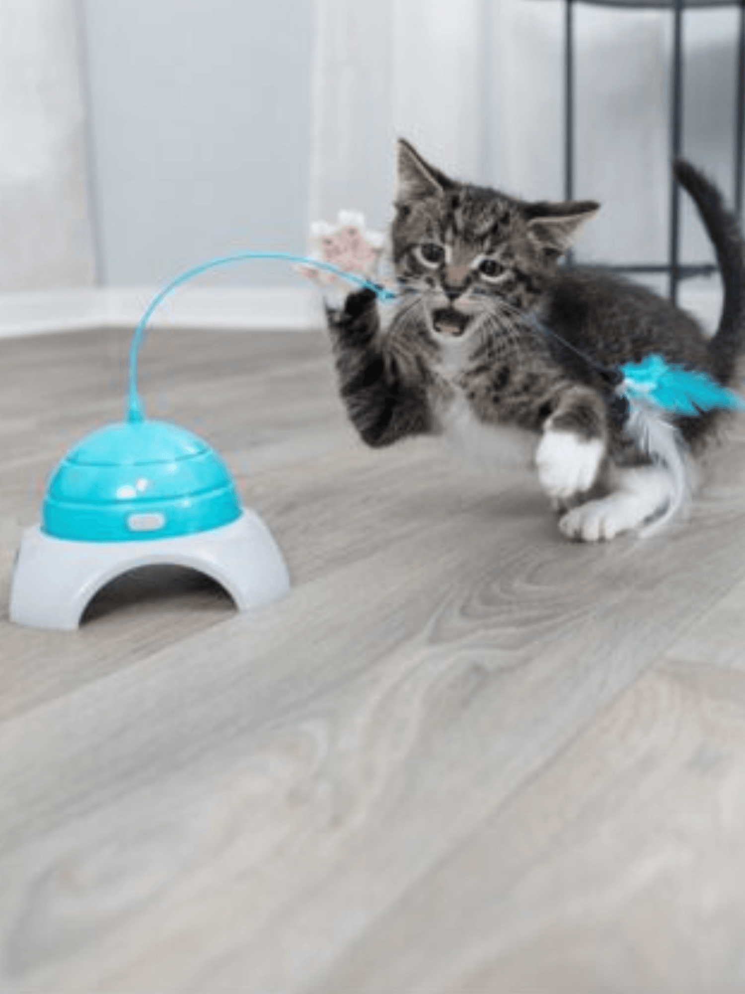 Trixie | 電動旋轉羽毛逗貓玩具 - RUFF & FETCH