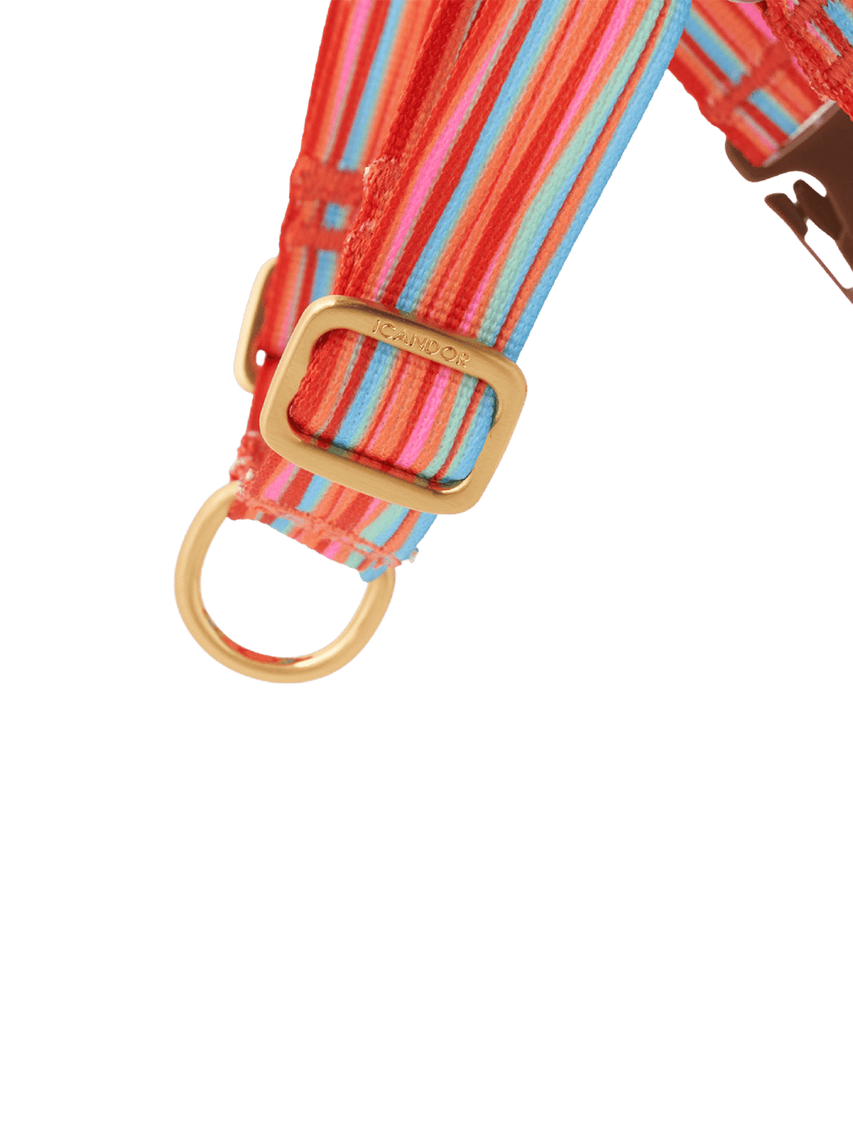 iCandor | No-Pull 防拉扯狗狗胸帶 - RUFF & FETCH