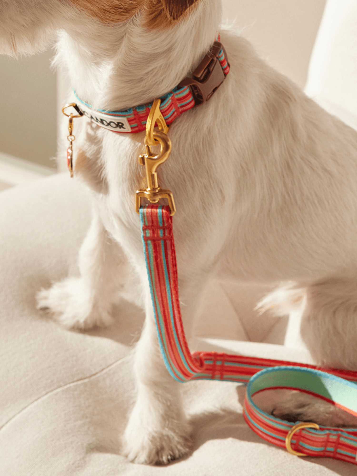 iCandor | Gentle Leash 牽繩 - RUFF & FETCH