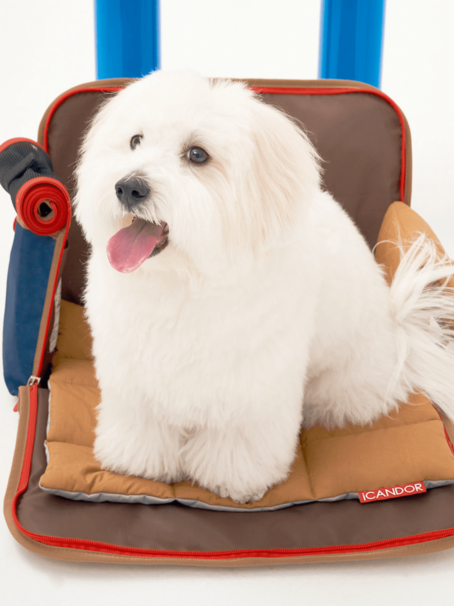 iCandor | 包內睡墊 ( Peek-a-boo 適用) - RUFF & FETCH