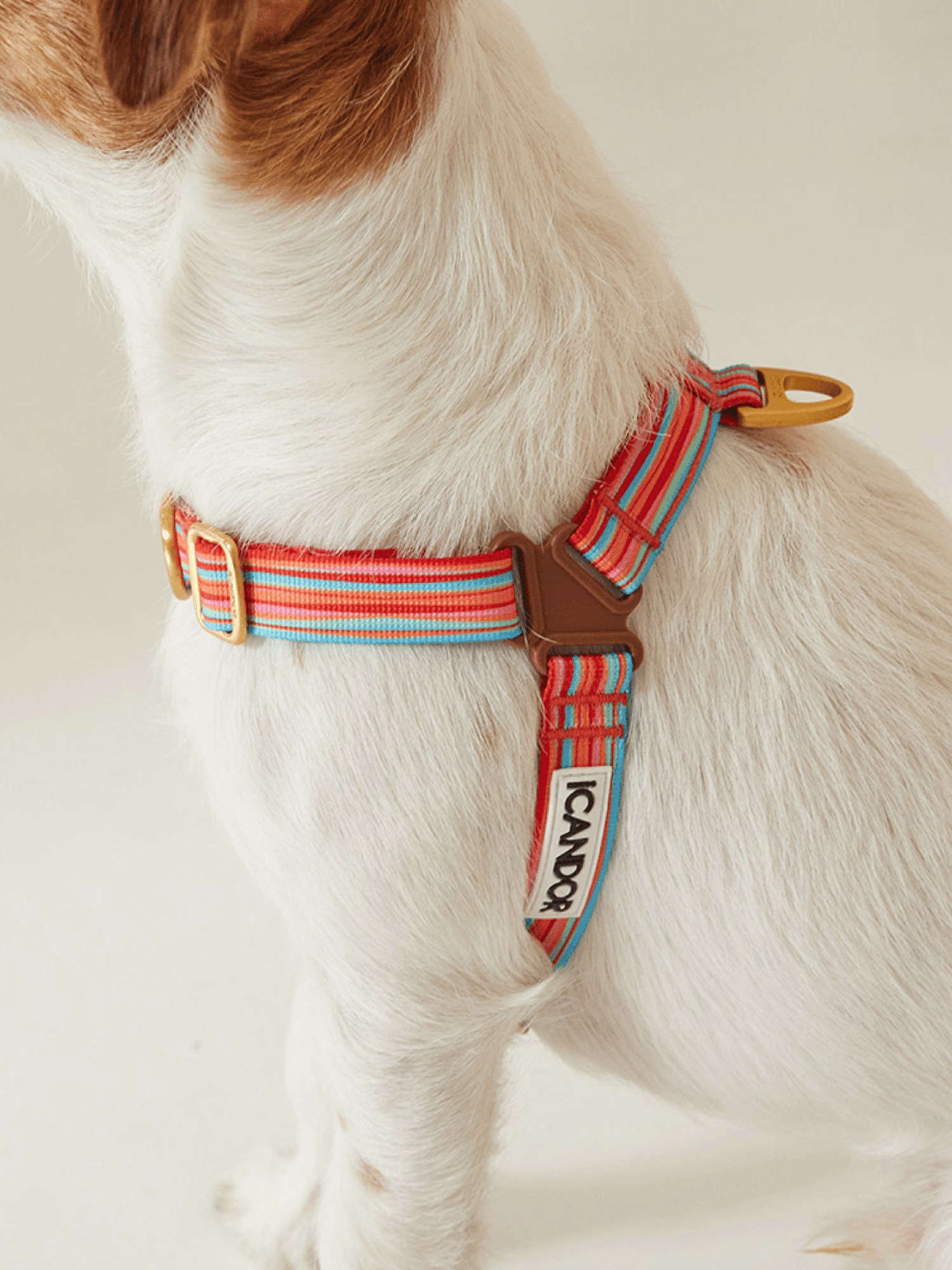 iCandor | No-Pull 防拉扯狗狗胸帶 - RUFF & FETCH