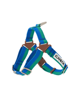 iCandor | No-Pull 防拉扯狗狗胸帶 - RUFF & FETCH