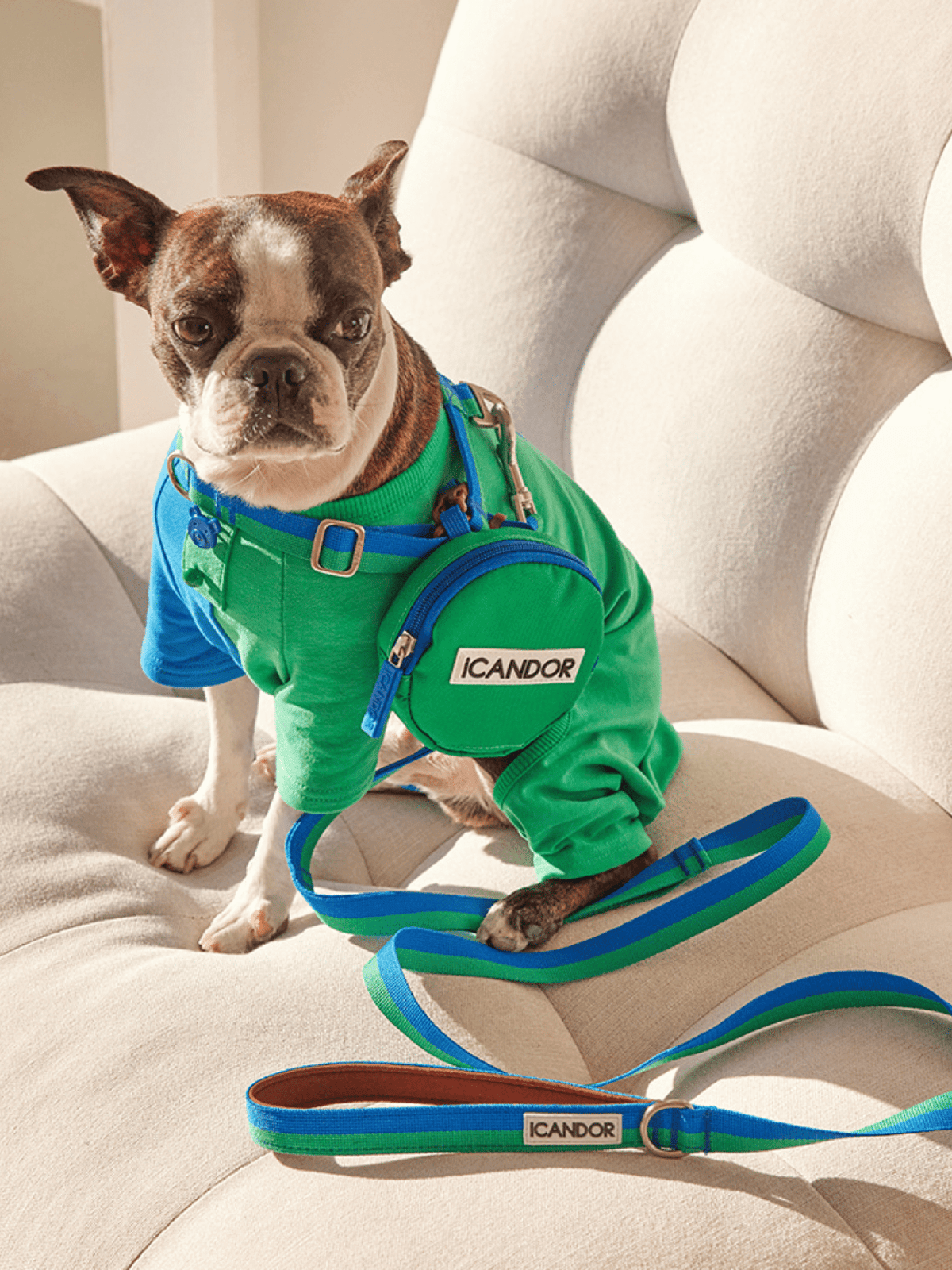 iCandor | No-Pull 防拉扯狗狗胸帶 - RUFF & FETCH