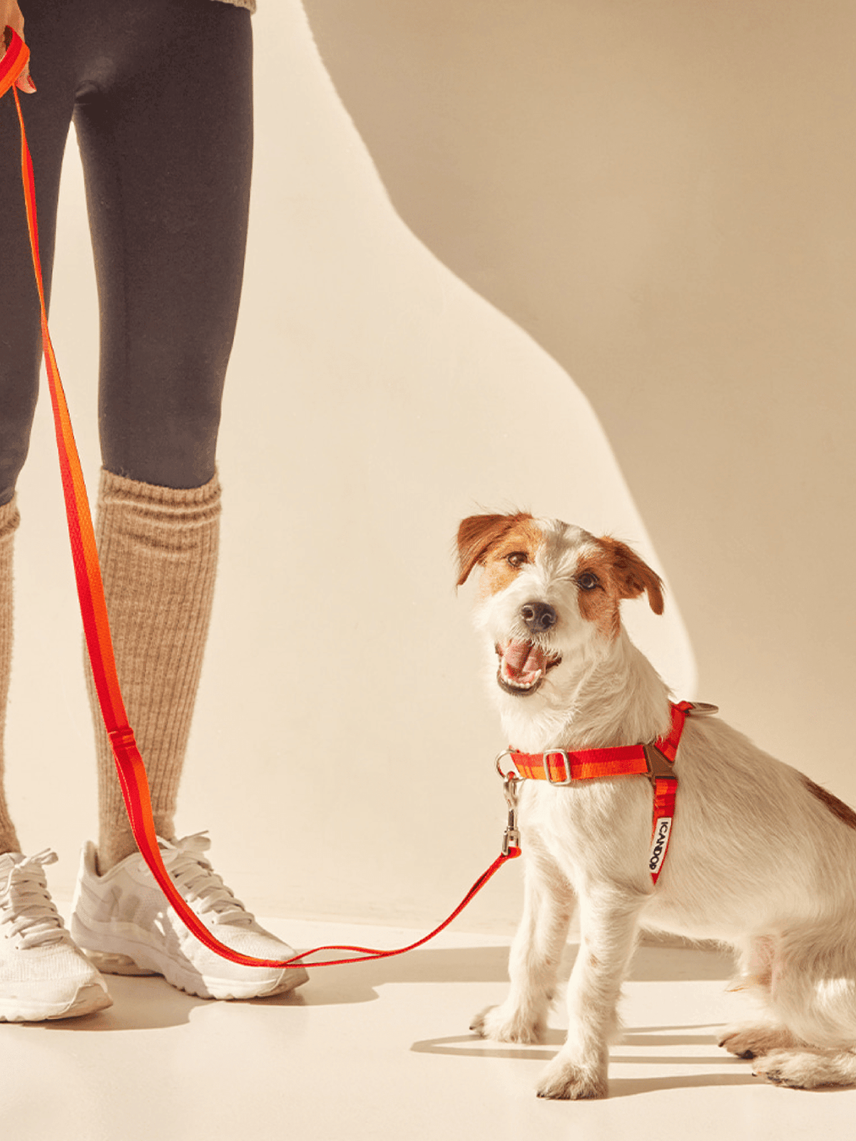 iCandor | No-Pull 防拉扯狗狗胸帶 - RUFF & FETCH