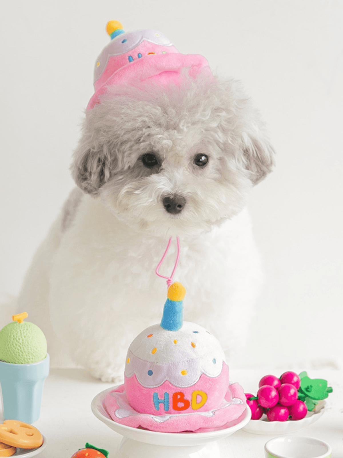 Biteme | 韓國精品 生日帽 - RUFF & FETCH