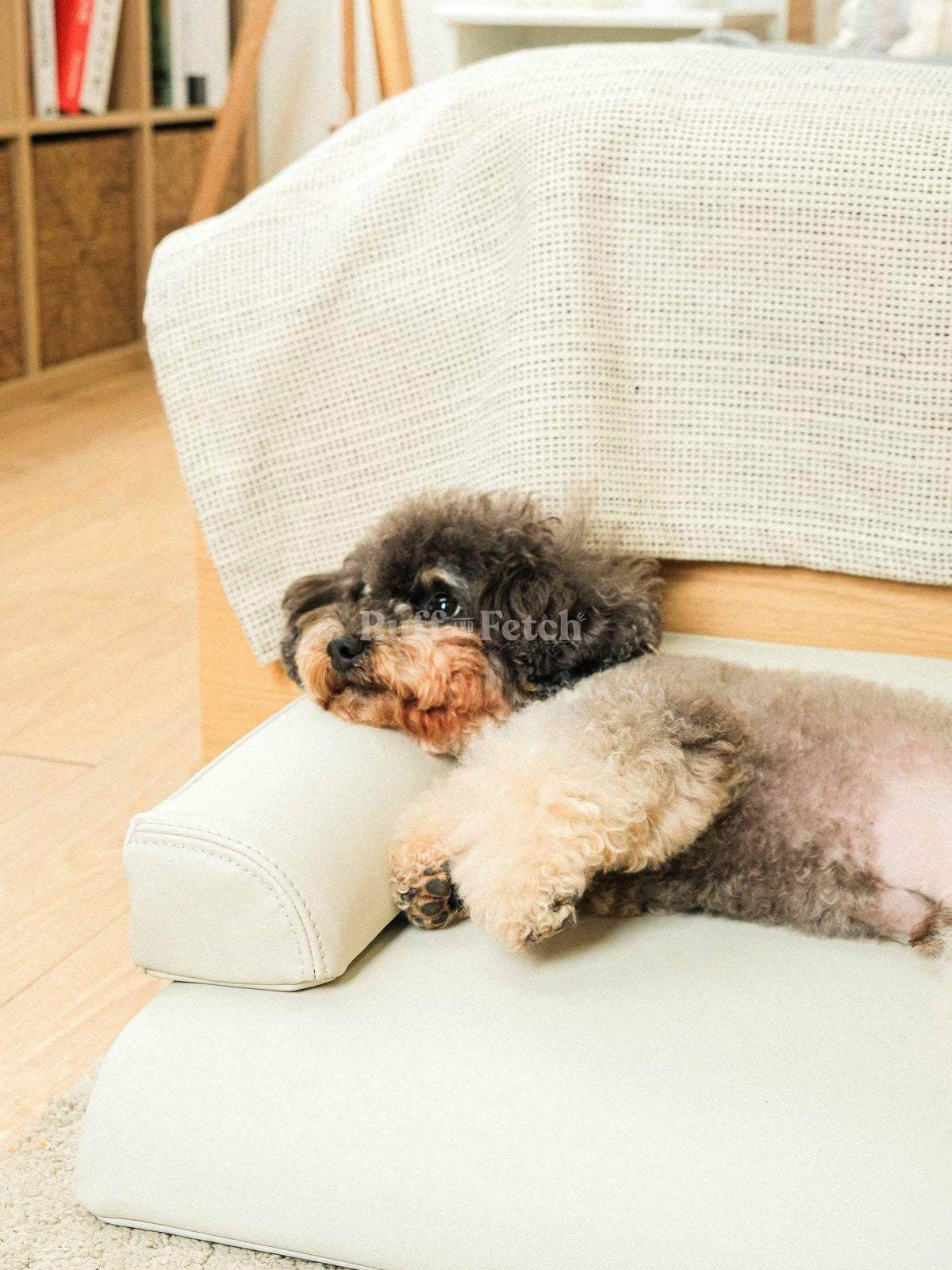 Mummur Korea | MOFM 防水高彈力寵物豪華沙發 - RUFF & FETCH