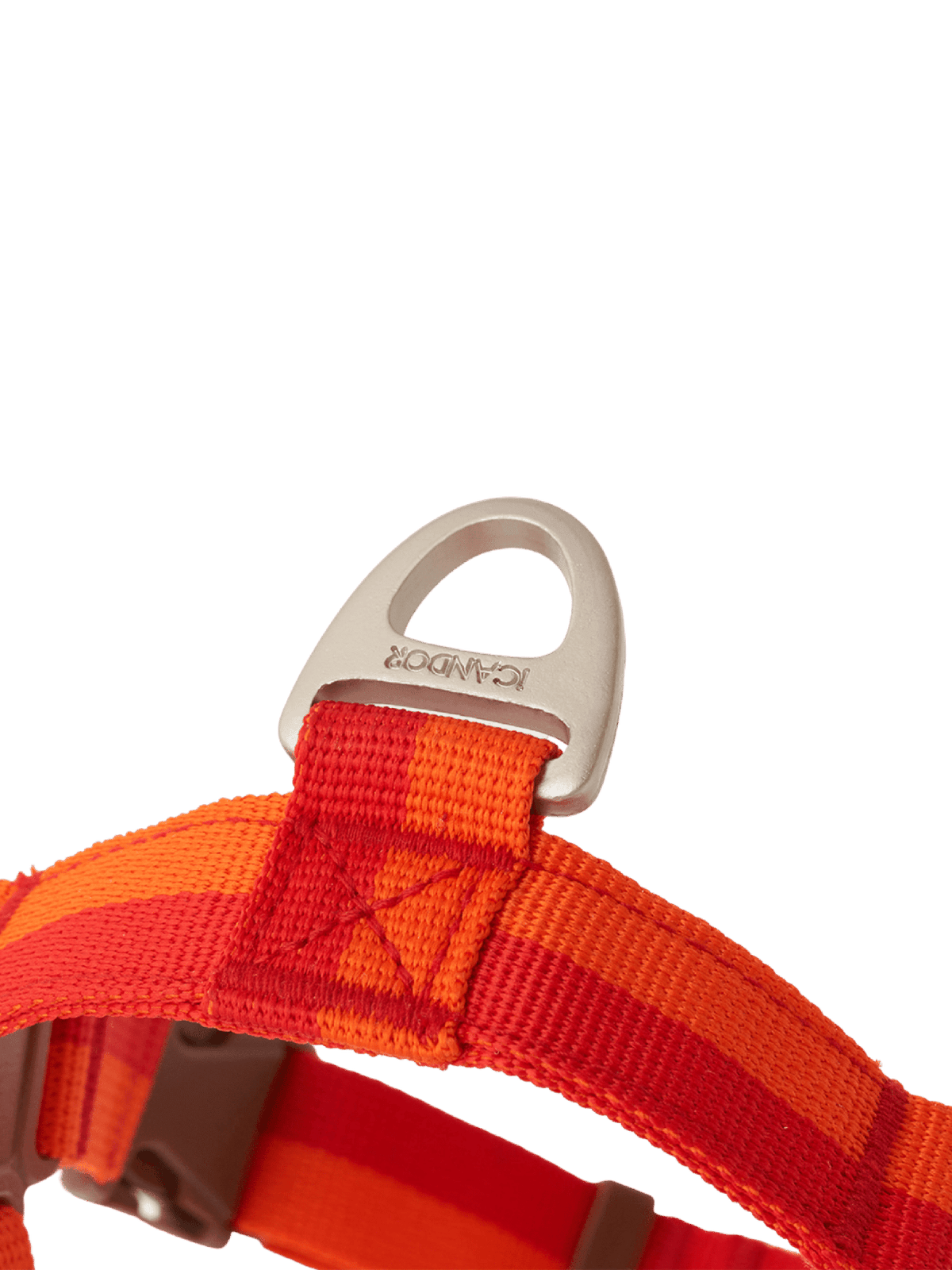 iCandor | No-Pull 防拉扯狗狗胸帶 - RUFF & FETCH