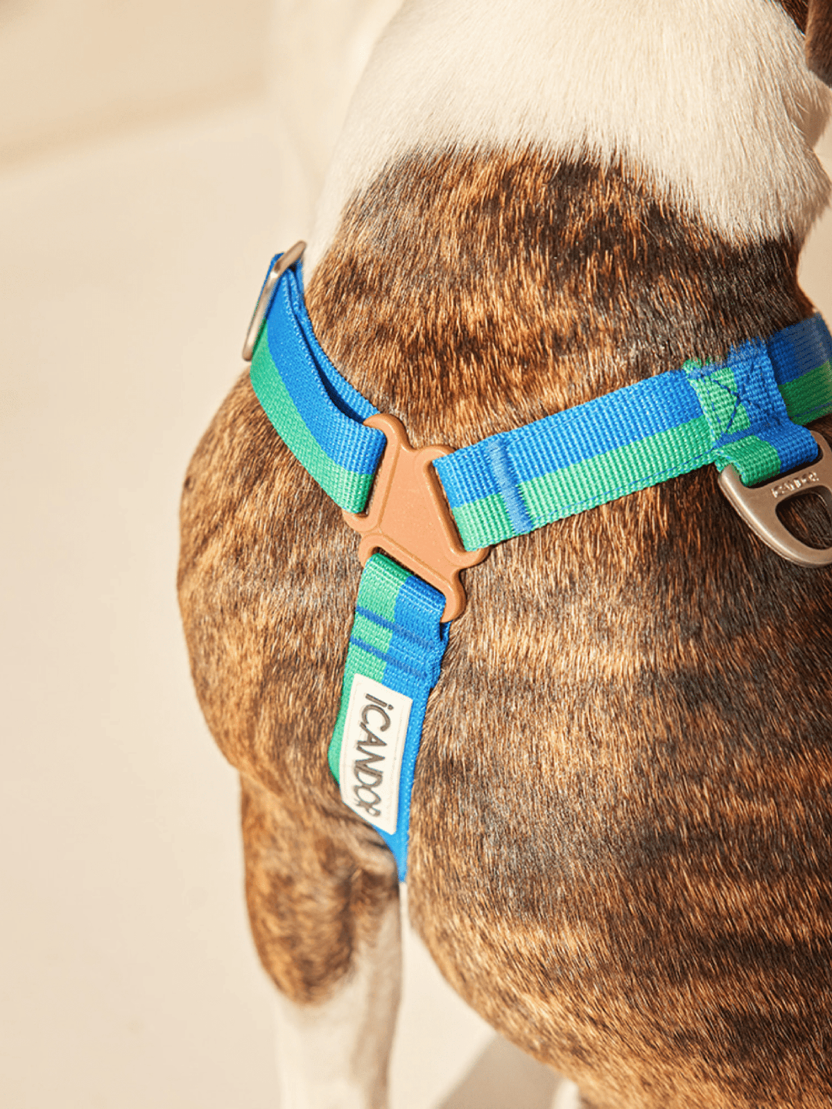 iCandor | No-Pull 防拉扯狗狗胸帶 - RUFF & FETCH