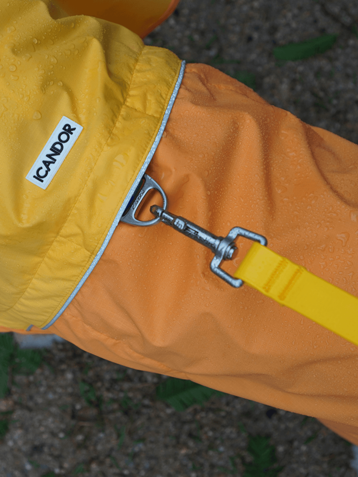 iCandor | Earth 冒險狗狗雨衣 - RUFF & FETCH